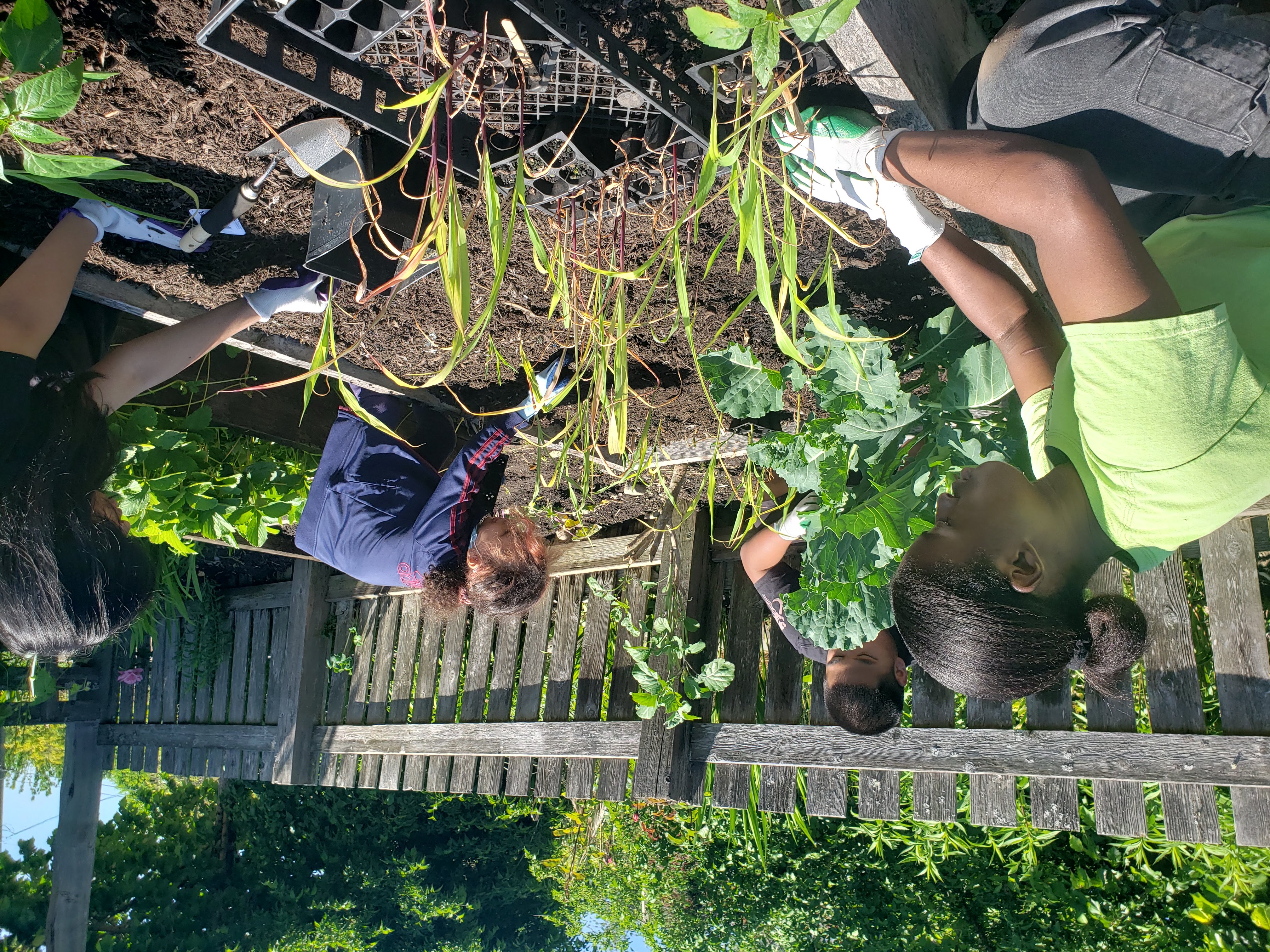 Youth and elders work together in a garden